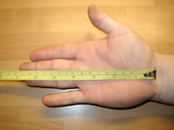 dr j hand size